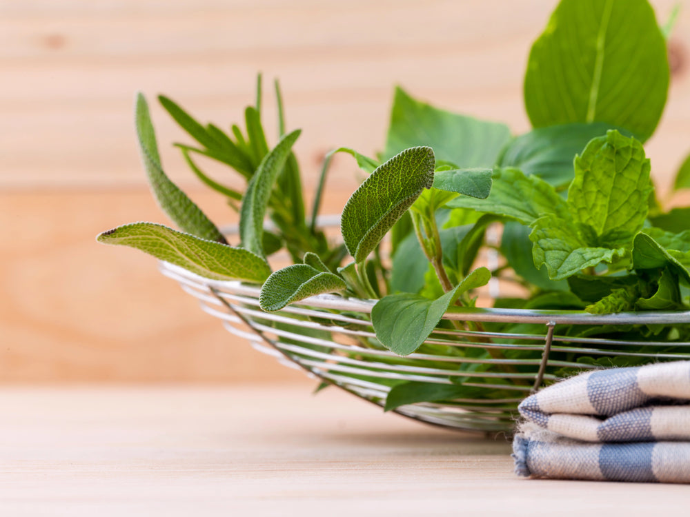 Erythrit vs. Stevia – welcher Zuckerersatz ist besser?