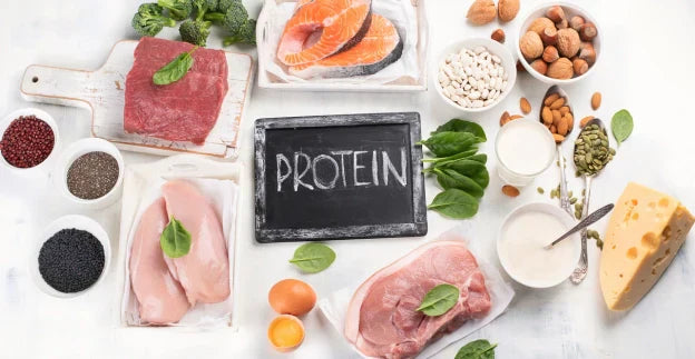 Proteinreich essen: Warum Eiweiß wichtig ist